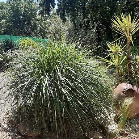 مبيت وإفطار Russan Le Calme De La Garrigue المظهر الخارجي الصورة