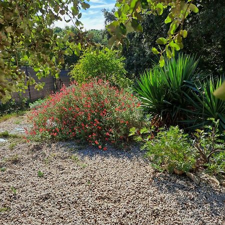 مبيت وإفطار Russan Le Calme De La Garrigue المظهر الخارجي الصورة