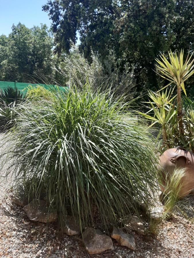 مبيت وإفطار Russan Le Calme De La Garrigue المظهر الخارجي الصورة