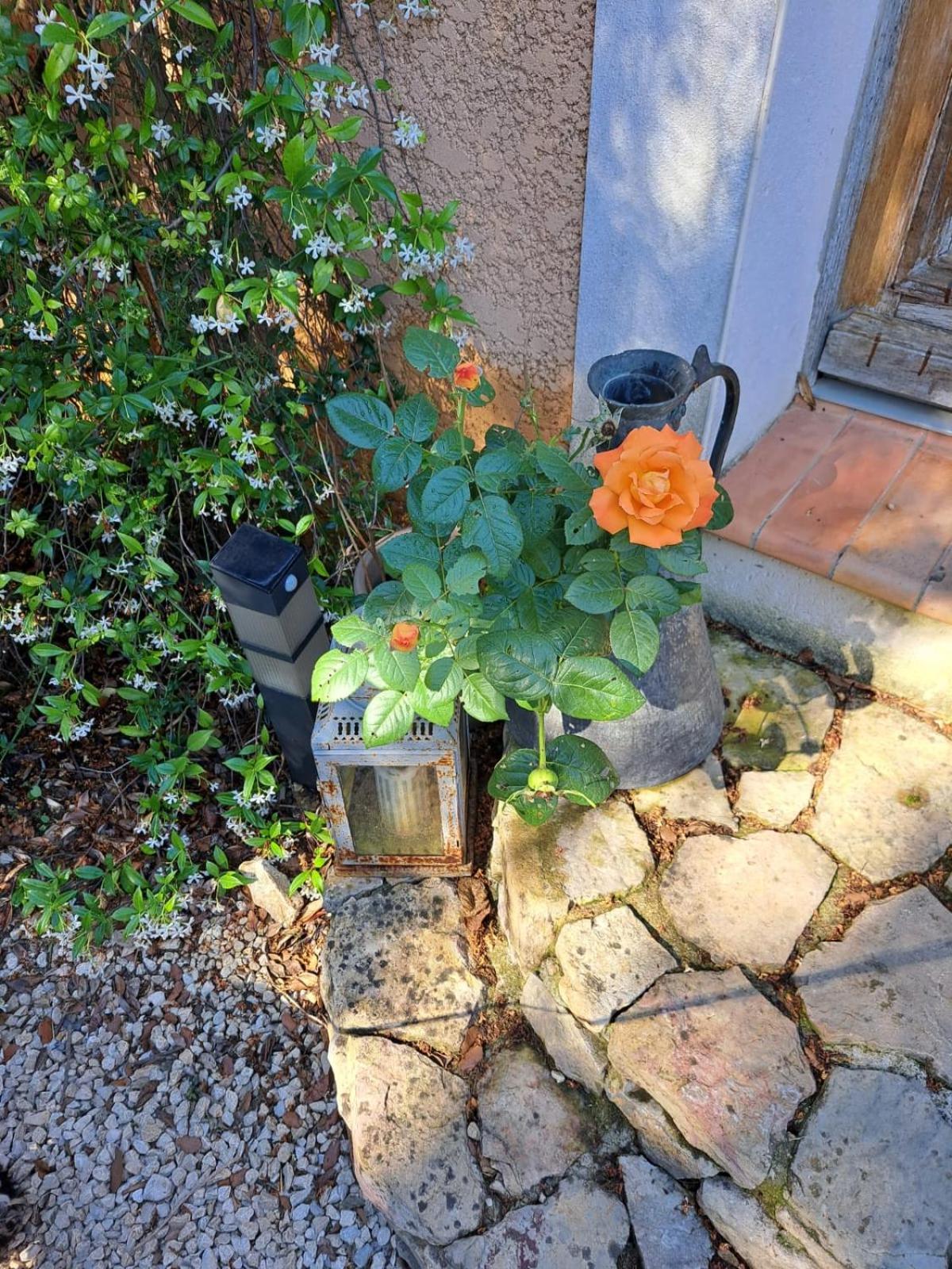 مبيت وإفطار Russan Le Calme De La Garrigue المظهر الخارجي الصورة
