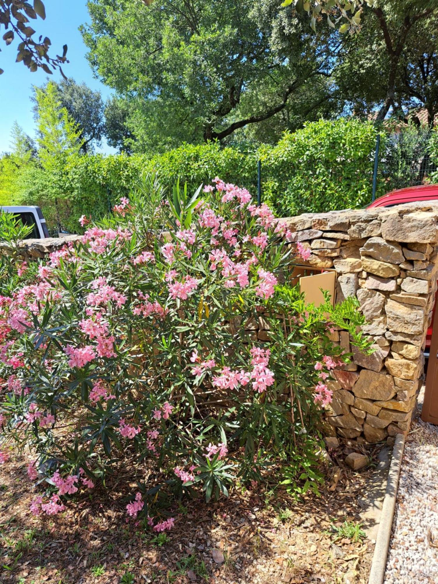 مبيت وإفطار Russan Le Calme De La Garrigue المظهر الخارجي الصورة