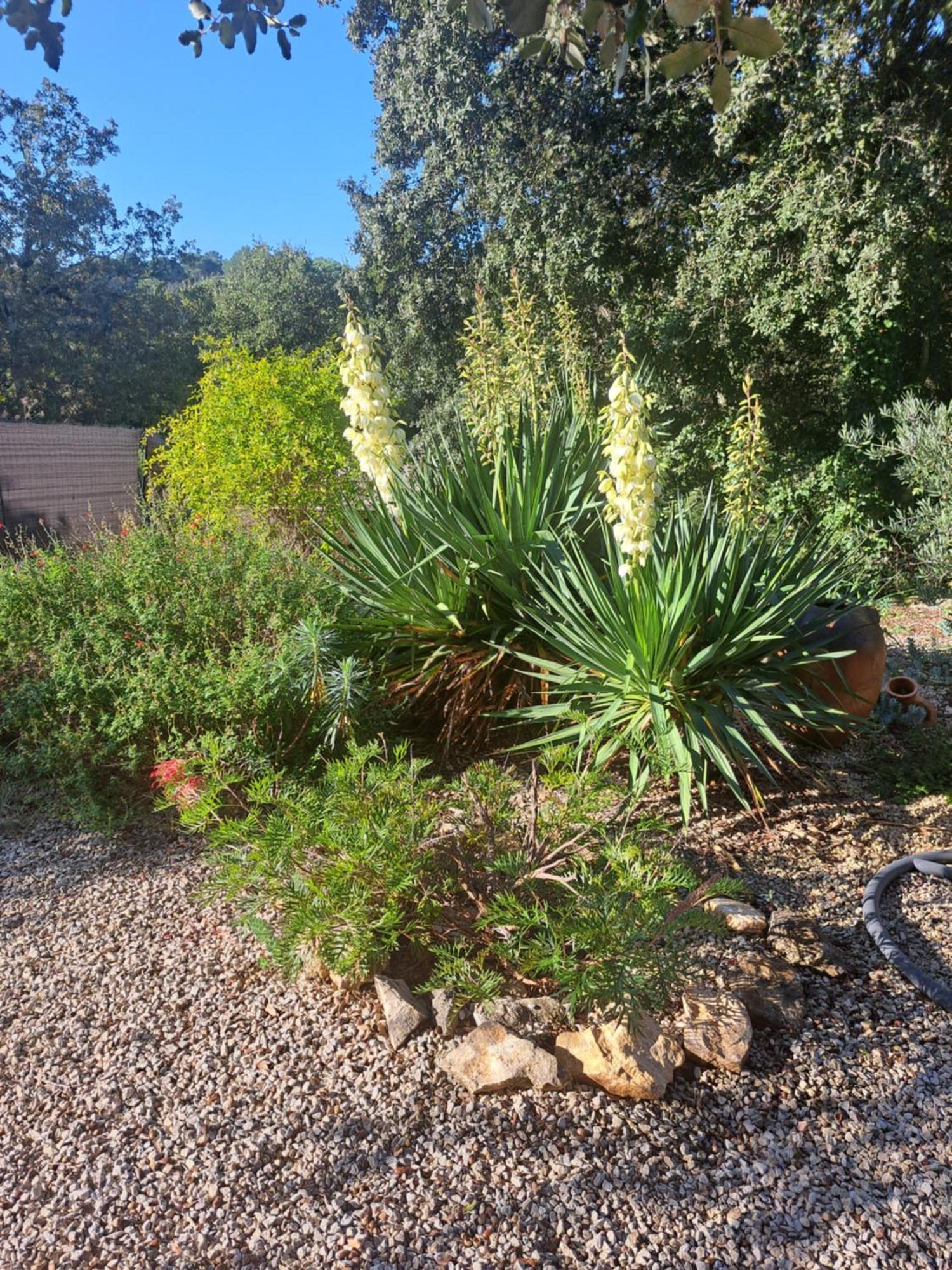 مبيت وإفطار Russan Le Calme De La Garrigue المظهر الخارجي الصورة